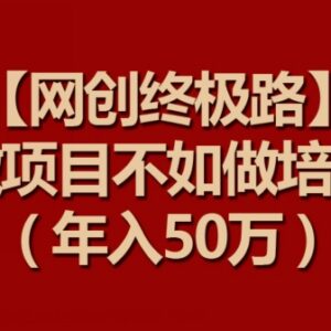 网创项目培训实操全流程教程 打造个人IP年入50万方法指南-雨叶虚拟资源网
