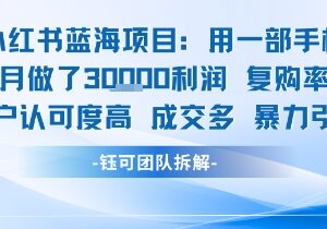 小红书蓝海低门槛副业拆解 小白易上手单月最高可赚3万元-雨叶虚拟资源网