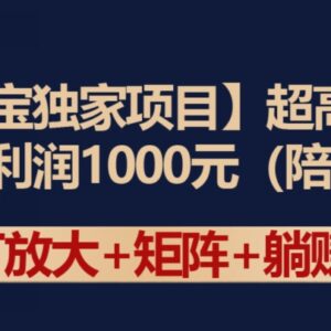 淘宝高利润项目全流程教程 单均利润1000元运营玩法解析-雨叶虚拟资源网