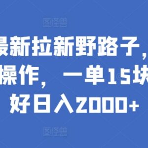 2024小红书拉新蓝海副业攻略 单客15元一部手机即可操作-雨叶虚拟资源网