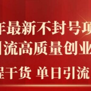 2024不封号项目拆解引流法 抖音快手引创业粉实操干货教程-雨叶虚拟资源网