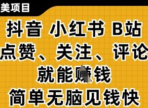 抖音小红书B站点赞关注挣钱零撸项目 低门槛副业操作指南-雨叶虚拟资源网