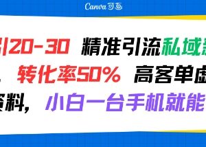 日引20-30精准粉私域引流玩法 小白可做高转化高客单虚拟资料-雨叶虚拟资源网