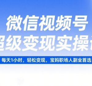 微信视频号变现实操课 零基础宝妈职场人副业每日1小时可落地-雨叶虚拟资源网