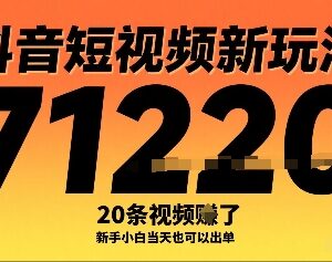 抖音短视频赚钱新玩法 零基础新手做20条视频可盈利1万元以上-雨叶虚拟资源网