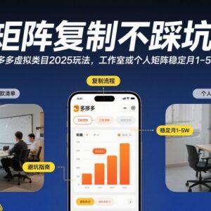 2025拼多多虚拟类目矩阵玩法 个人工作室稳入1-5W实操指南-雨叶虚拟资源网