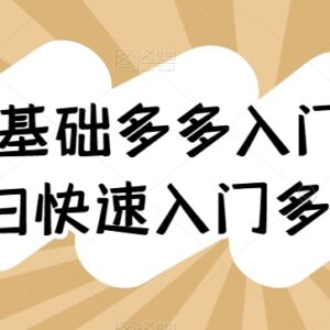 0基础拼多多开店入门教程 纯小白快速上手全流程运营指南-雨叶虚拟资源网