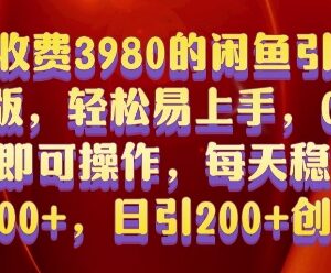 0基础可上手闲鱼引流教程 日引200+创业粉保姆级实操指南-雨叶虚拟资源网