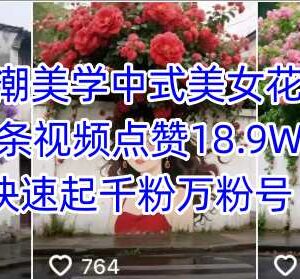 AI生成国潮中式美女花墙视频 高赞内容快速起千粉万粉号-雨叶虚拟资源网