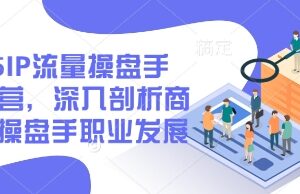 2025IP流量操盘手训练营 详解商业IP操盘手职业发展与全链路实操方法-雨叶虚拟资源网