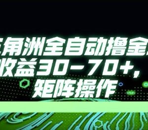 2024三角洲行动AI全自动打金项目 单窗口收益稳定可批量操作-雨叶虚拟资源网