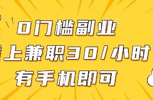 适合普通人的0门槛手机线上副业 时薪30操作灵活时间自由-雨叶虚拟资源网