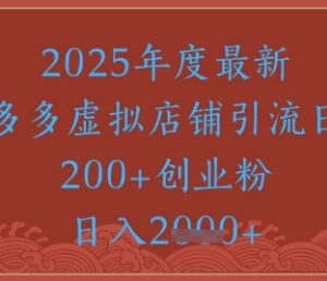 拼多多虚拟店铺引流创业粉技巧 日引精准粉操作全流程-雨叶虚拟资源网