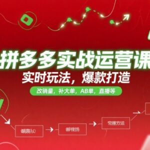 2025更新拼多多实战运营课程 爆款打造直播玩法全流程教学-雨叶虚拟资源网