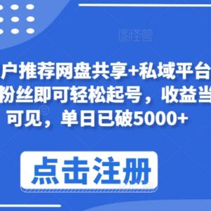 无需粉丝即可操作的网盘拉新项目 玩法多样收益当日可见-雨叶虚拟资源网