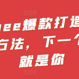 Shopee爆款打造核心运营方法 选品测品到推广全流程实操指南-雨叶虚拟资源网