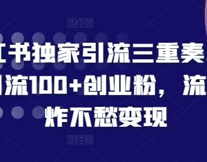 小红书创业粉引流实操攻略 3招实现单日引流100+精准用户-雨叶虚拟资源网