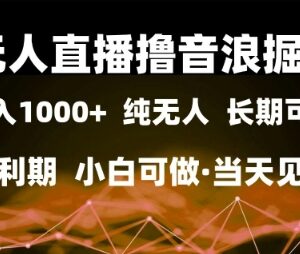 2024无人直播撸音浪掘金玩法 小白低门槛上手当日可见收益-雨叶虚拟资源网