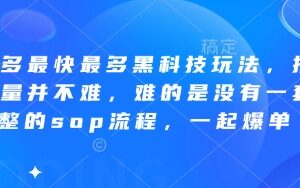 2025年6月更新拼多多全链路运营SOP 助力商家从0到1实现店铺爆单-雨叶虚拟资源网