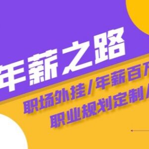 年薪百万陪跑训练营 职场进阶规划与收入提升系统课程-雨叶虚拟资源网