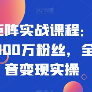 抖音矩阵实战系统课程 新手从0涨粉到变现全套实操指南-雨叶虚拟资源网