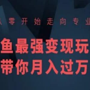 闲鱼从零入门到专业运营全攻略 可落地变现玩法实操教程-雨叶虚拟资源网