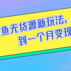 闲鱼无货源最新玩法解析 无需囤货即可实现月入5万实操攻略-雨叶虚拟资源网