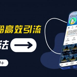 抖音工具号创业粉高效引流玩法 日引300+实操步骤及变现技巧分享-雨叶虚拟资源网