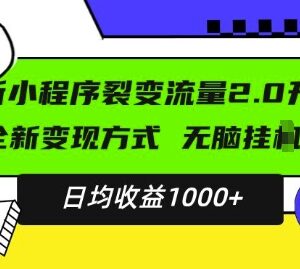 2024升级版小程序广告变现项目 小白易上手日均稳定收益千元-雨叶虚拟资源网
