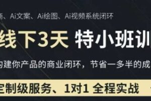2025年3月最新AI线下实操培训 0基础保姆级教程助力获客降本增效-雨叶虚拟资源网