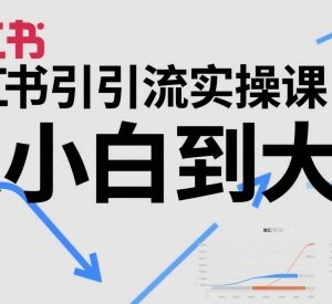 小红书引流实操全阶课程 从小白到运营大神全流程教学-雨叶虚拟资源网