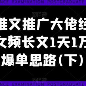 女频长文小说推文爆单经验 日入1万实操运营技巧分享(下)-雨叶虚拟资源网