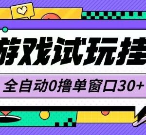 无需高配置的零撸小游戏试玩挂机项目 单窗口收益30+可矩阵放大-雨叶虚拟资源网