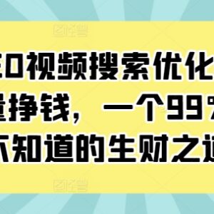 抖音SEO视频搜索优化教程 免费流量获取及变现实操方法-雨叶虚拟资源网