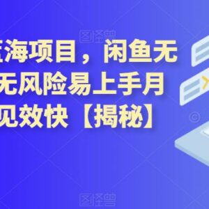 2023闲鱼无货源电商项目解析 零囤货低门槛副业操作指南-雨叶虚拟资源网