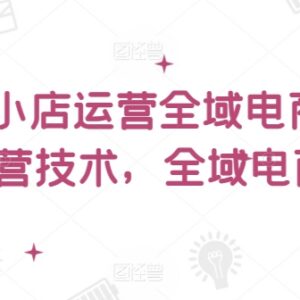 2024抖音小店全域电商运营课 从入门到实操全流程教程-雨叶虚拟资源网