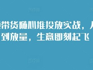 2024短视频带货随心推投放全链路实操教程 从选品到放量全攻略-雨叶虚拟资源网