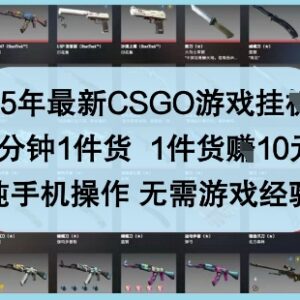 2025年CSGO游戏搬砖赚钱项目详解 无经验手机即可操作-雨叶虚拟资源网