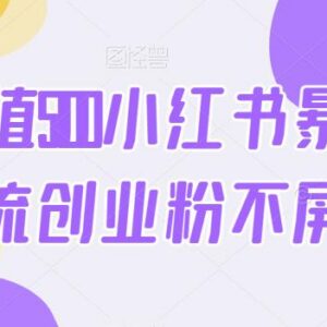 小红书截流创业粉无限发布不屏蔽方法 多账号抗封运营教程-雨叶虚拟资源网