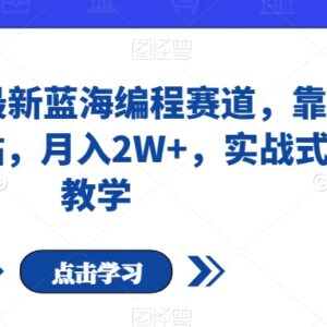 小红书最新蓝海少儿编程赛道实操 低门槛复制粘贴月入可达2万+-雨叶虚拟资源网