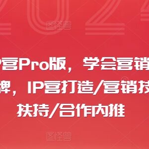 2024摄影师IP营Pro版课程 学营销思维打造个人IP实现变现-雨叶虚拟资源网
