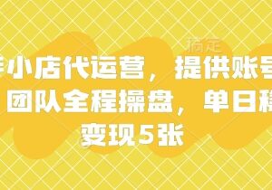 快手小店代运营玩法解析 仅需提供账号团队全程操盘稳定变现-雨叶虚拟资源网