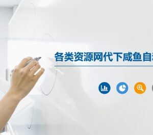 知识付费资源网代下+闲鱼自动发货 虚拟副业实操玩法教程-雨叶虚拟资源网