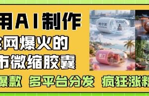 AI制作爆火城市微缩胶囊教程 多平台分发涨粉变现玩法-雨叶虚拟资源网