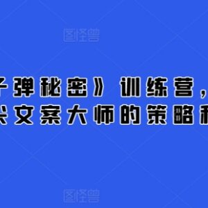 21天《子弹秘密》训练营 掌握顶尖文案大师核心写作策略技巧-雨叶虚拟资源网