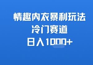 成人用品赛道情趣内衣盈利玩法 冷门高利润副业实操参考-雨叶虚拟资源网