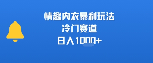 成人用品赛道情趣内衣盈利玩法 冷门高利润副业实操参考