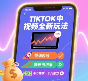 TikTok中视频全新玩法实操教程 多领域快速起号获高播放收益-雨叶虚拟资源网