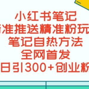 小红书精准引流实操教程 附合规脚本单日导私域300+方法-雨叶虚拟资源网