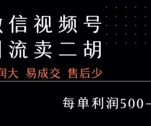 视频号售卖二胡教程实操项目 低售后易成交单利润超500-雨叶虚拟资源网